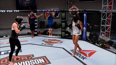 The Ultimate Fighter : No Easy Fight'