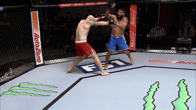 The Ultimate Fighter : Dark Horse'