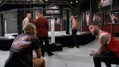 The Ultimate Fighter : Time to Smash'