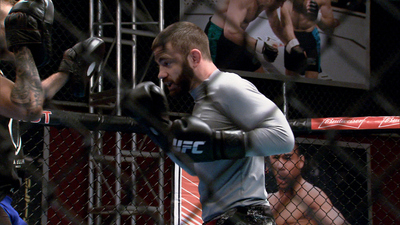 The Ultimate Fighter : Embrace the Snake'