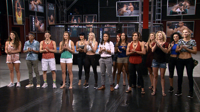 The Ultimate Fighter : A New World Champion'