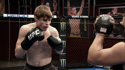 The Ultimate Fighter : Straight Savage'
