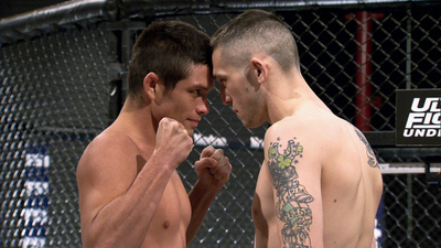 The Ultimate Fighter : The Cookie Crumbles'