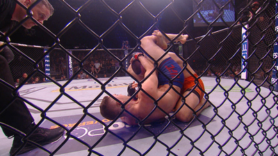 The Ultimate Fighter : TUF 27 Finale: The Ultimate Fighter: Undefeated'