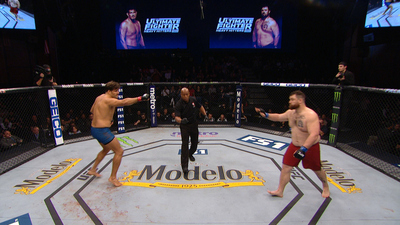 The Ultimate Fighter : TUF 28 Finale: The Ultimate Fighter: Heavy Hitters'