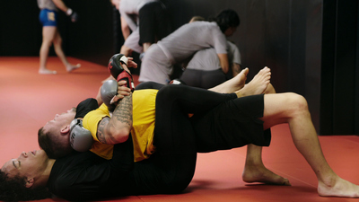 The Ultimate Fighter : Hard Headed'