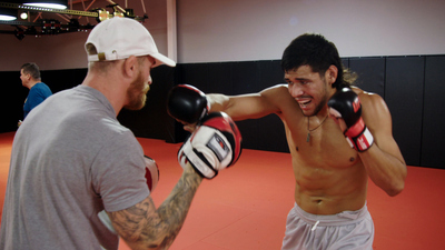 The Ultimate Fighter : Fight or Flight'