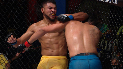 The Ultimate Fighter : TUF 29 Finale: Barboza vs. Chikadze'