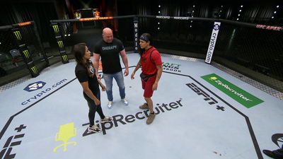 The Ultimate Fighter : A Beautiful Fight'