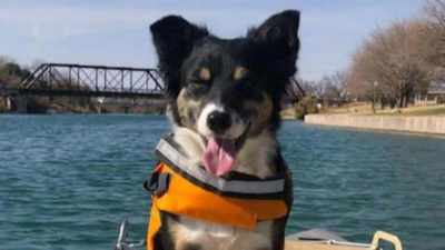 CBS Mornings : Dognapping morphs into murder-for-hire plot'