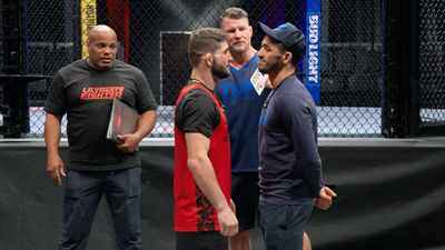 The Ultimate Fighter : Scousers Don’t Get Knocked Out'