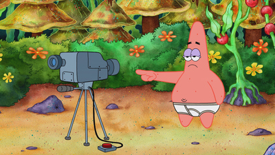The Patrick Star Show Seasons & Episodes - Watch on Paramount+ Australia
