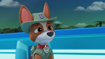 PAW Patrol : Pups Stop a Coconut Catapult/Pups Save Humdinger's Goose'