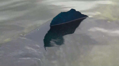 CBS Mornings : Peeling paint spotted in Reflecting Pool'