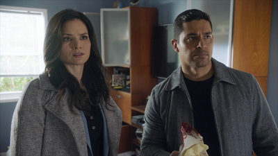 NCIS Seasons & Episodes - Watch on Paramount+ United Kingdom