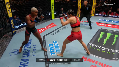 The Ultimate Fighter : TUF 34 Finale'