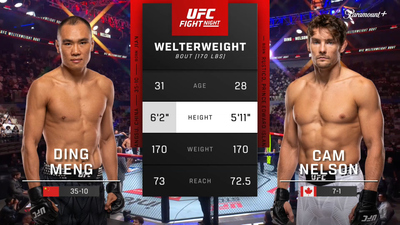 UFC Fight Night : Ding Meng vs. Cameron Nelson (UFC Fight Night: Nurmagomedov vs. Song - Prelims)'