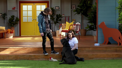 Lucky Dog: Down Under - Tiger & Goober
