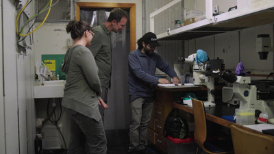 The Visioneers with Zay Harding - Upcycled Utensils, Busy Beavers, and Ocean Vaults