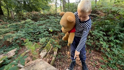 The Uplift - The Uplift: The Hundred Acre Wood