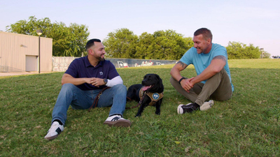 Lucky Dog: Paws With Purpose - Smoky