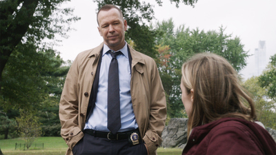 Blue Bloods : Personal Business'