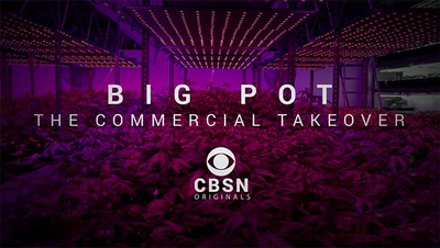 CBSN Originals : Big Pot: The Commercial Takeover'