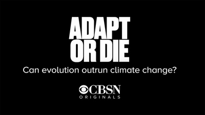 CBS Reports : Adapt or Die'