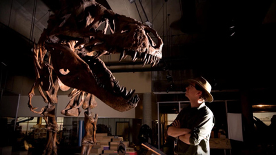 CBS This Morning - Scotty, largest T. rex ever found, on display