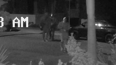 Watch 48 Hours Season 33 Episode 41: The COVID Cover-Up ...