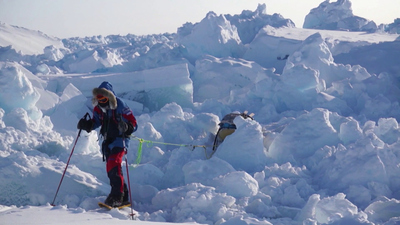 The Uplift : The Uplift: A polar explorer and a lucky dog'
