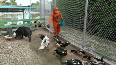 Sunday Morning : A zoo for rescued animals, beneath a Key West jail'