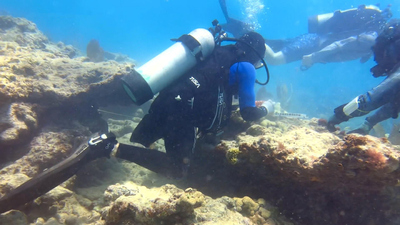CBS Saturday Morning : Veterans group works to restore coral reefs'