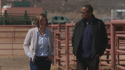 60 Minutes - 4/20/2025: Bird Flu; Demis Hassabis; Flight of the Monarchs