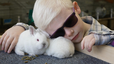 CBS Saturday Morning : Boy with cancer raises award-winning rabbits'