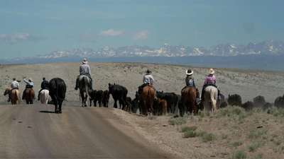 60 Minutes - 7/6/2025: The Green River Drift; Ballmer’s Ballgame; Ina Garten
