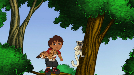 Watch Go, Diego, Go! Season 4 Episode 8: Go, Diego, Go! - Leaping