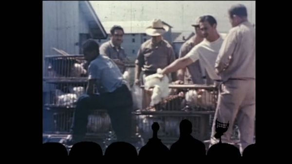 MST3K Shorts - A Case of Spring Fever & The Chicken of Tomorrow