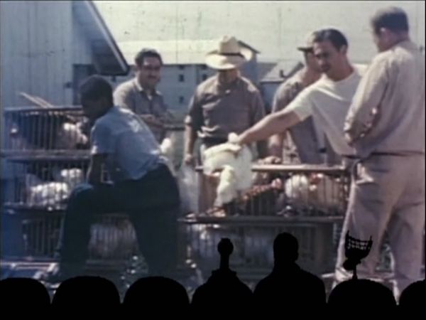MST3K Shorts - A Case of Spring Fever & The Chicken of Tomorrow