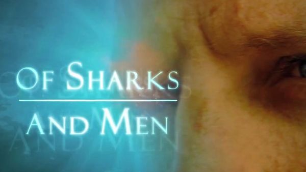 Of Sharks and Men - Victims of Fear