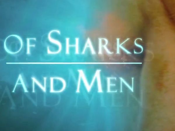 Of Sharks and Men - Victims of Fear