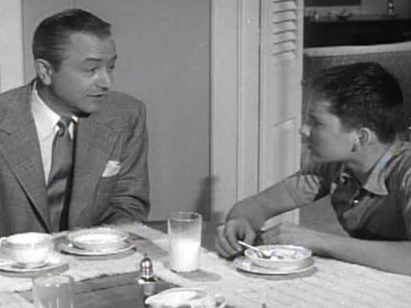 Father Knows Best - The Mink Coat