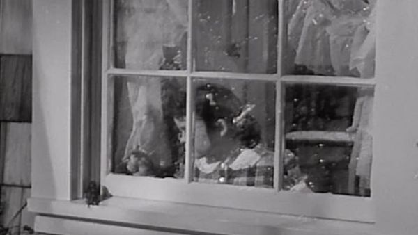 Father Knows Best - Sparrow In The Window