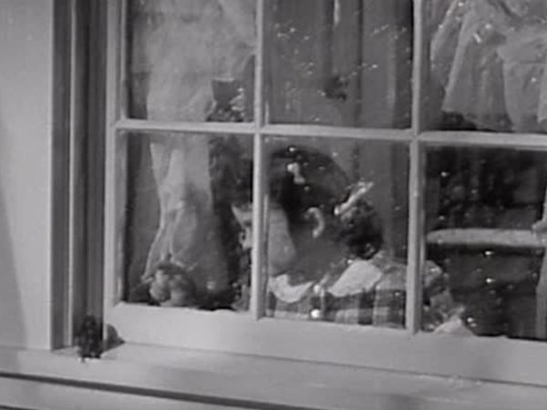 Father Knows Best - Sparrow In The Window