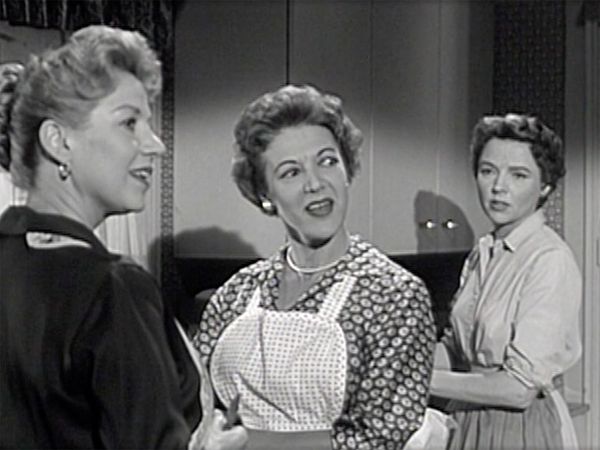 Father Knows Best - The Lawn Party