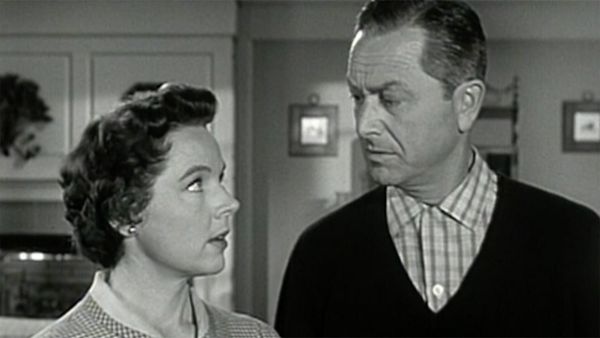 Father Knows Best - The Homing Pigeon