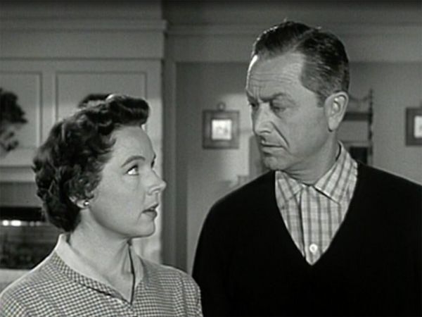 Father Knows Best - The Homing Pigeon