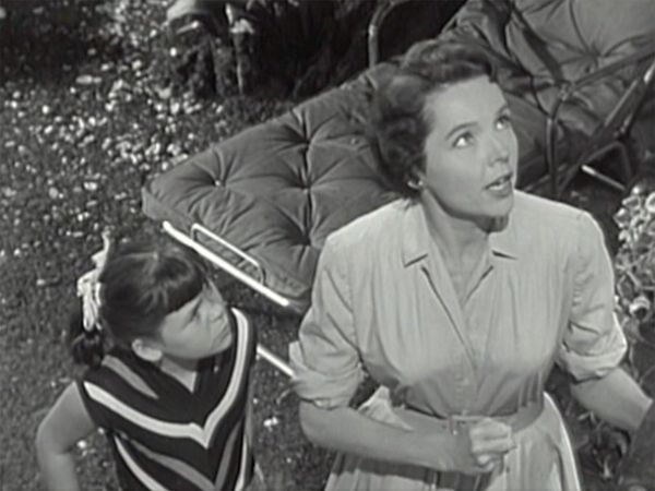 Father Knows Best - The House Painter