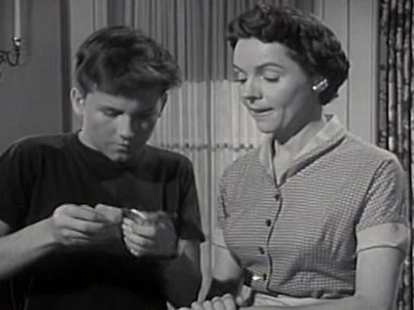 Father Knows Best - Art of Salesmanship