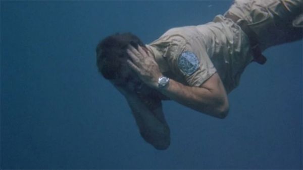 Flipper - 300 Feet Below